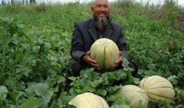 新疆老爷爷吃瓜视频,瓜香四溢，乐享晚年