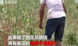 寿光西河吃瓜事件视频,一场引发热议的街头冲突