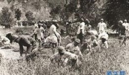 冕宁红军吃瓜事件视频,一段感人至深的军民鱼水情