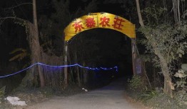 龙洞吃瓜事件视频,一场网络热议的真相揭秘