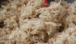 肉松麻瓜吃货视频大全,吃货视频大全精选回顾