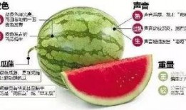 微信吃瓜各种视频,娱乐背后的人生百态