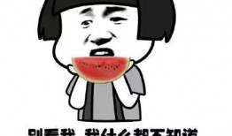 理性吃瓜系列视频,揭秘网络热点背后的真相与思考