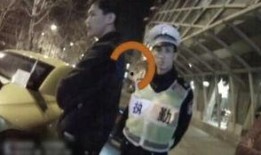 吃瓜狗车祸视频大全集,惊心动魄！吃瓜狗车祸视频大全集回顾