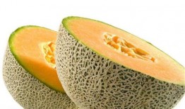 骡子吃哈密瓜视频大全,趣味视频大盘点