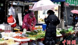 苏州疫情酒店吃瓜视频,吃瓜群众视角下的防疫生活纪实