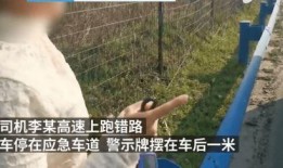 吃瓜翻围栏被淦视频,网友热议“淦”视频背后的故事