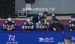 国乒队员集体吃瓜视频,欢乐氛围感染网友