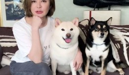 单身小狗吃瓜视频,揭秘娱乐圈那些事儿