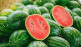 ucsd吃瓜视频,揭秘吃瓜视频背后的精彩故事