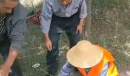 大爷视频吃瓜是真的吗,大爷视频吃瓜事件真相