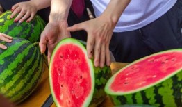 四川大学吃瓜视频最新更新,揭秘校园热点事件最新进展