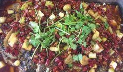 刘大瓜吃烤鱼视频大全,一场味蕾与视觉的盛宴