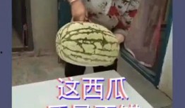 吃瓜肚子疼视频大全