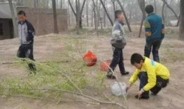 菏泽曹县吃瓜事件视频,一场网络热传的误会与反思