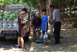 南乐乡村吃瓜群众视频曝光,揭秘乡村生活百态