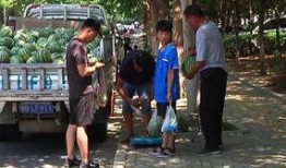 南乐乡村吃瓜群众视频曝光,揭秘乡村生活百态