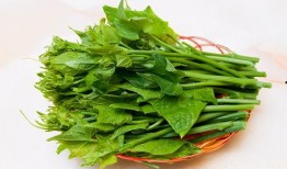 小尖瓜怎么吃才好吃视频,视频教你轻松变身美食达人