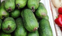 柳州干部吃瓜视频,揭秘官场“小确幸”现象