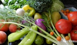 土瓜怎么吃的有营养呢视频,土瓜营养美味吃法揭秘