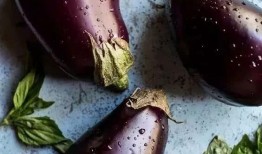 美女吃茄瓜视频网站大全,美女品尝茄瓜，精彩视频大盘点