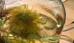 双菊瓜好吃吗怎么吃视频,视频教你如何品尝佳肴