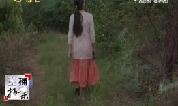 桃林吃瓜事件真相视频,揭秘真相背后的惊人内幕