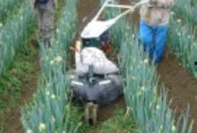 湖南小白龙视频高清吃瓜,揭秘幕后真相