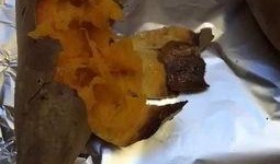 砍瓜可以烤着吃吗视频大全,探索砍瓜烤制美味之旅