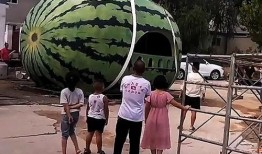 吃蛇瓜搞笑视频大全集,吃蛇瓜搞笑视频大全集，欢乐无限！