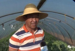 平远吃瓜群众事件视频播放,网络视频揭示的社区冲突瞬间