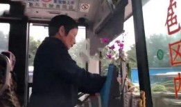 阿姨吃瓜赶车视频大全,趣味横生的乡村生活瞬间