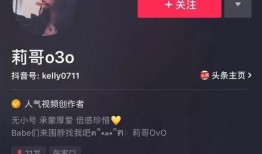 抖音网红所有吃瓜视频在线观看,海量视频在线观看，揭秘娱乐圈幕后故事