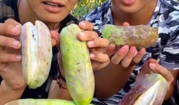 八月瓜吃的最香的视频,视频揭秘吃法最香秘诀