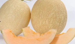 白富美吃瓜视频