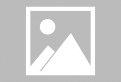 老外狗吃瓜的视频,萌态十足引网友热议