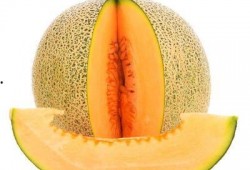 王八可以吃哈密瓜吗视频,一场意外的美食探索