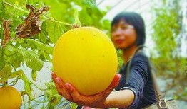 端午节快乐吃瓜视频大全,盘点热门端午节快乐吃瓜视频大全