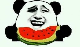 吃瓜幼崽真人视频,萌态可掬，萌翻网友