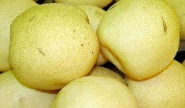 幼梨酱吃瓜视频,揭秘娱乐圈幕后故事