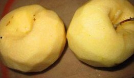 吃宝宝的大瓜会长胖吗视频,吃宝宝瓜果真的会导致发胖吗？