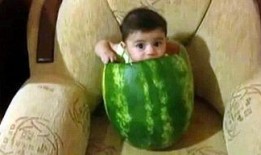 五大爆笑吃瓜视频,笑到肚子疼！