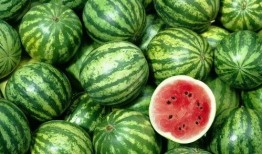 国际吃瓜中心其他视频,热门视频背后的趣味故事