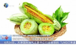 小孩儿吃蜜瓜会过敏吗视频,揭秘小孩食用蜜瓜的潜在隐患