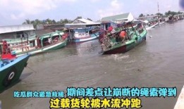 渔村的吃瓜群众是谁啊视频