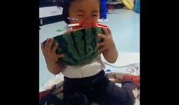 电影功夫吃瓜视频全集