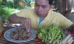 泰国小哥吃蛇瓜视频,惊险滋味大揭秘！