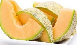 奶龙吃哈密瓜视频大全集,视频大全集欢乐回顾