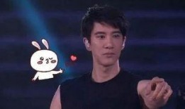 香港演唱会吃瓜现场视频,吃瓜群众捕捉精彩瞬间