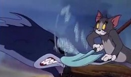 吃瓜猫视频完整版,揭秘幕后真相，带你领略网络红人的魅力与争议